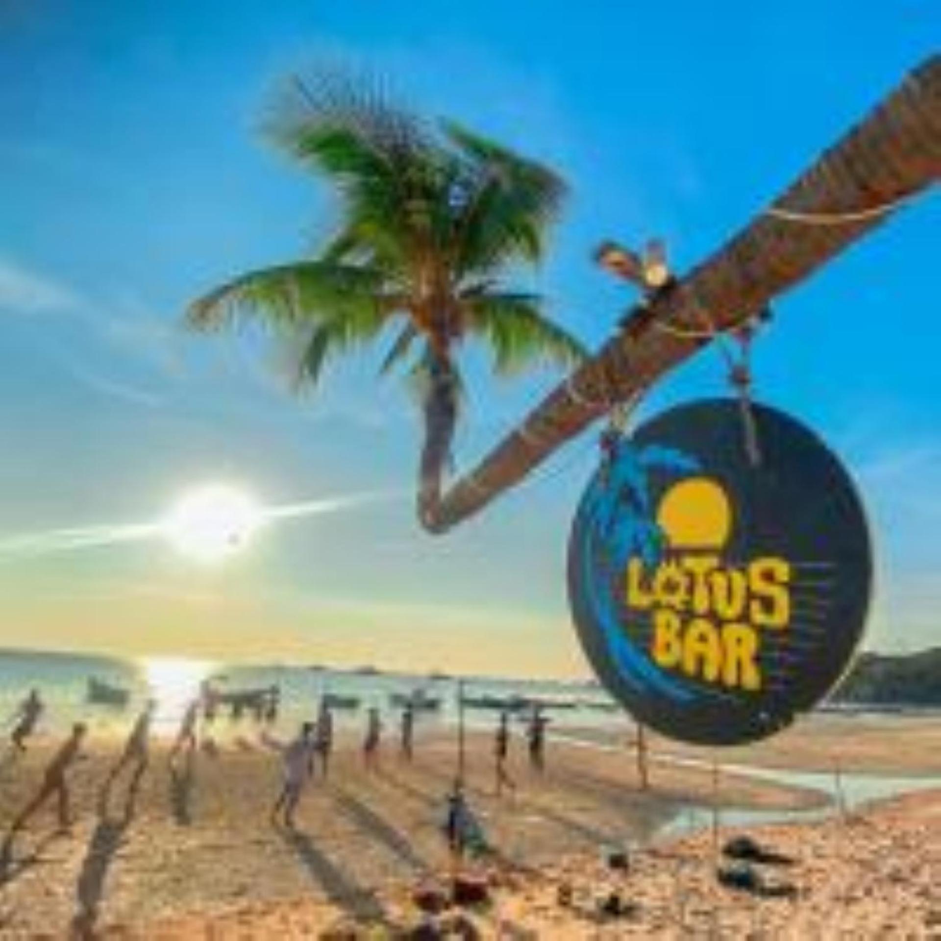Lotus Hostel Beach タオ島 エクステリア 写真