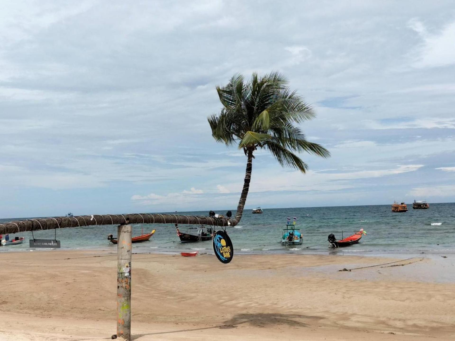 Lotus Hostel Beach タオ島 エクステリア 写真