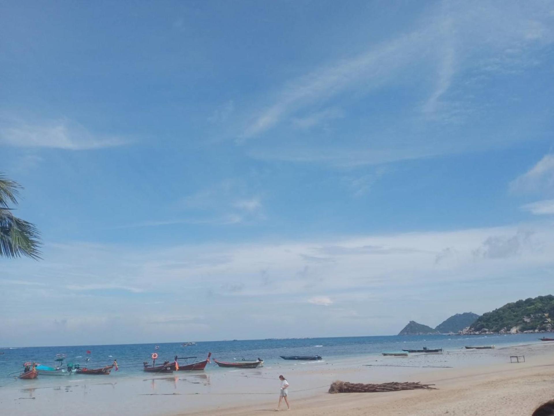 Lotus Hostel Beach タオ島 エクステリア 写真